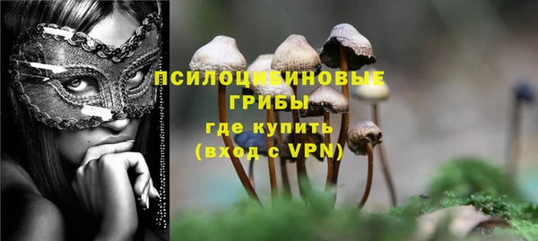 мяу мяу мука Армянск