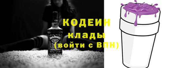 стафф Арсеньев