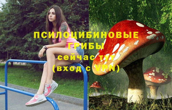 стафф Аркадак