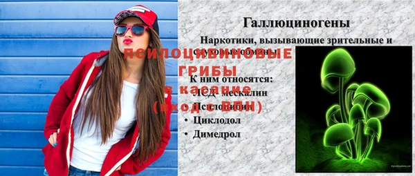стафф Арсеньев