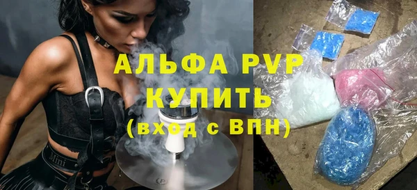 стафф Арсеньев
