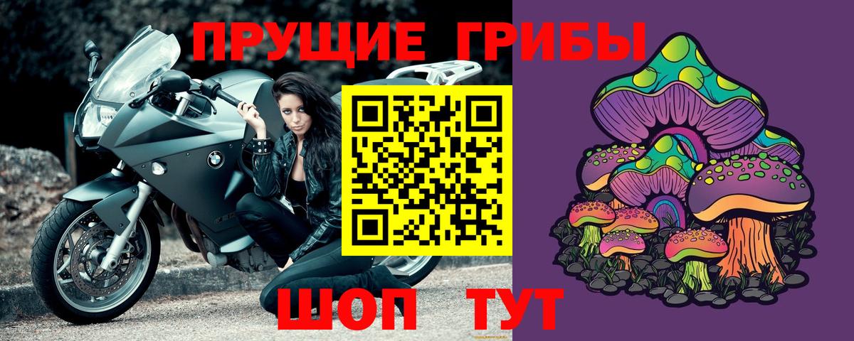 Галлюциногенные грибы Psilocybine cubensis  Псилоцибиновые грибы мицелий  Вход с VPN  Октябрьский 