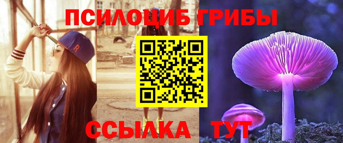 Псилоцибиновые грибы мицелий Октябрьский